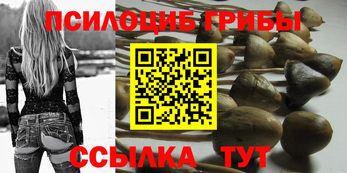Галлюциногенные грибы мицелий  Вход с VPN  Карпинск 