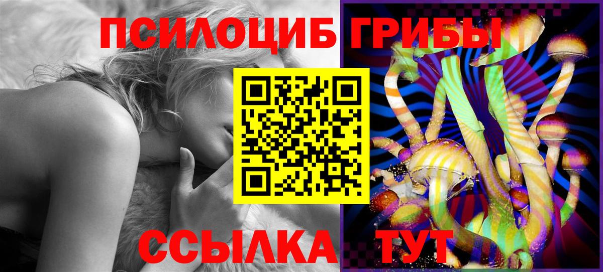 Псилоцибиновые грибы GOLDEN TEACHER Карпинск